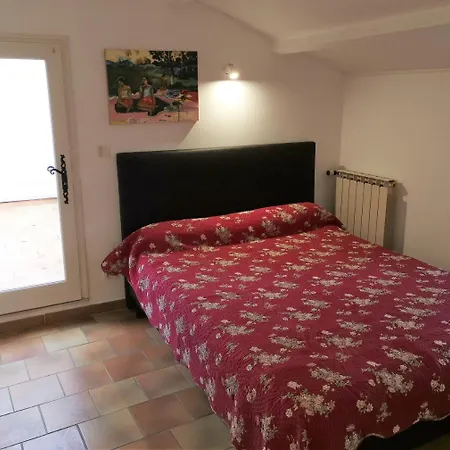 Le Vieil Olivier 7
