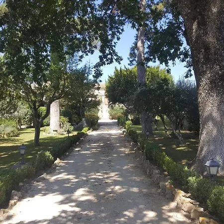 Le Vieil Olivier 7
