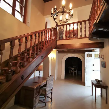 Le Vieil Olivier 7
