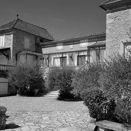 Le Vieil Olivier 7 *