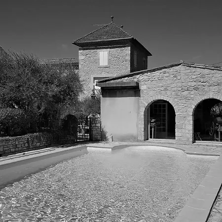 Le Vieil Olivier 7 招待所 Saint-Just-et-Vacquières